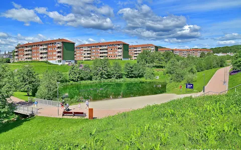 Bjerkedalen park image