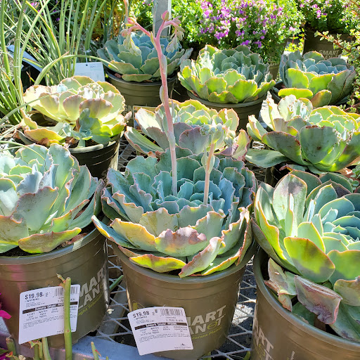 Home Improvement Store «The Home Depot», reviews and photos, 23651 El Toro Rd, Lake Forest, CA 92630, USA