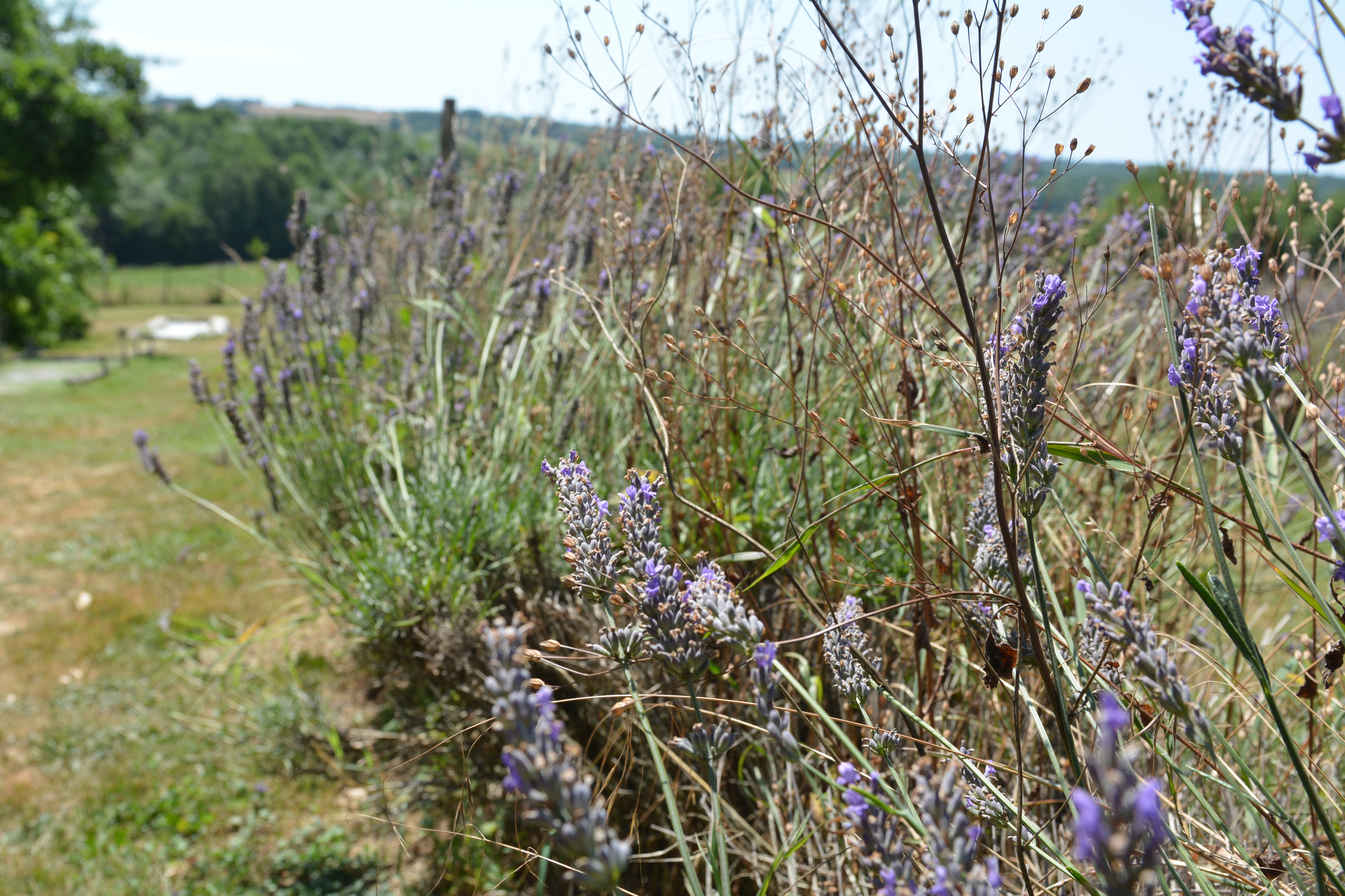 Photo n° 16 de l'avis de Wouter.t fait le 18/08/2019 à 13:45