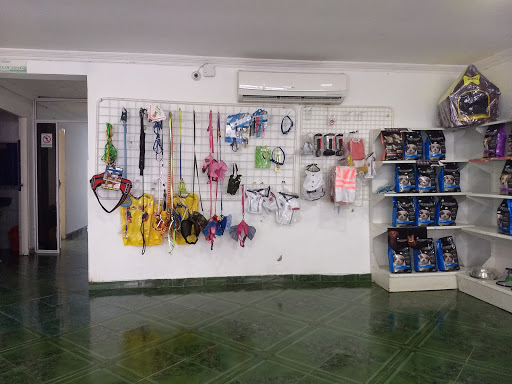 Veterinary clinics in Cartagena