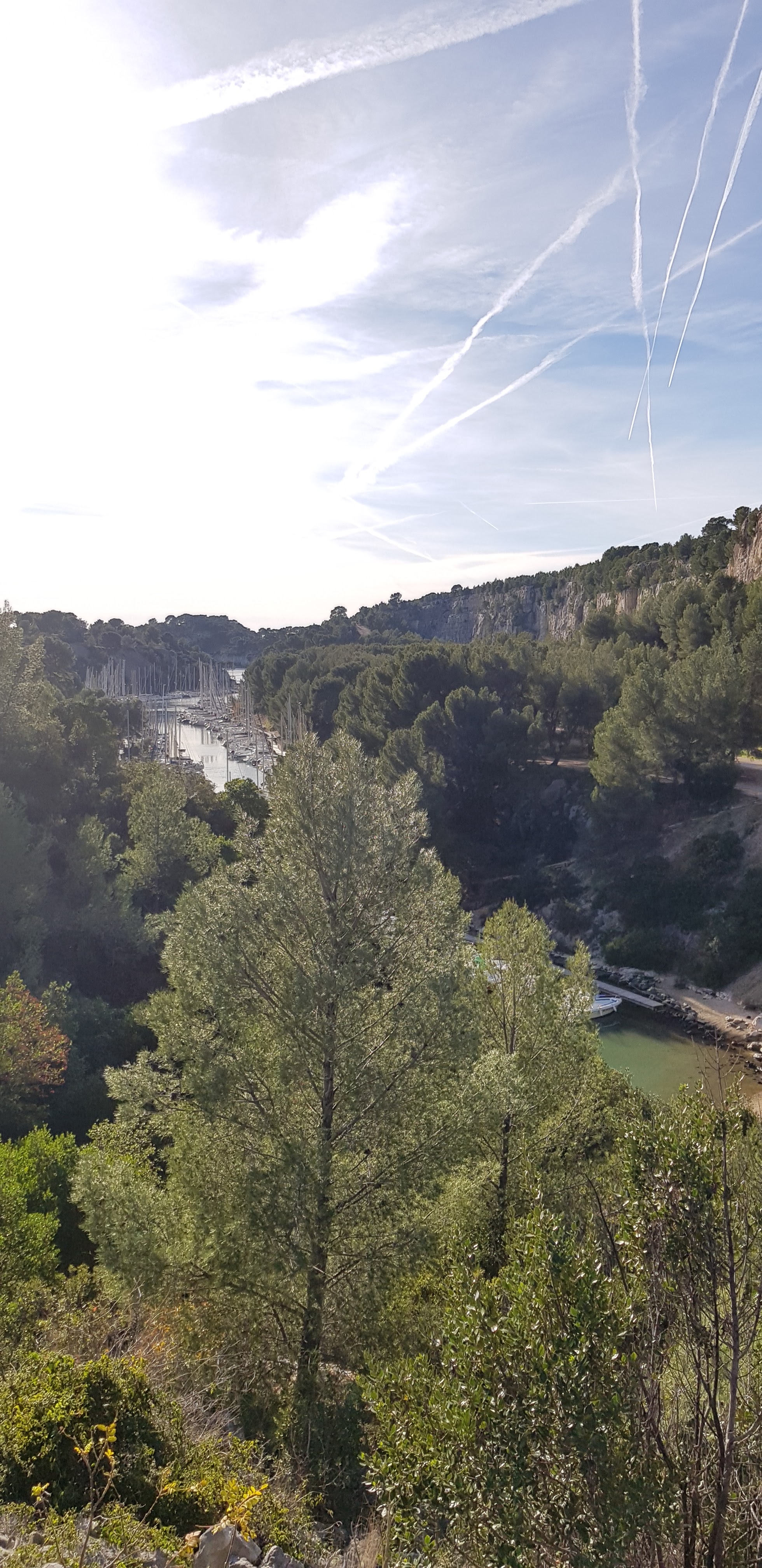 Photo n° 46 de l'avis de David.o fait le 07/01/2019 à 16:46