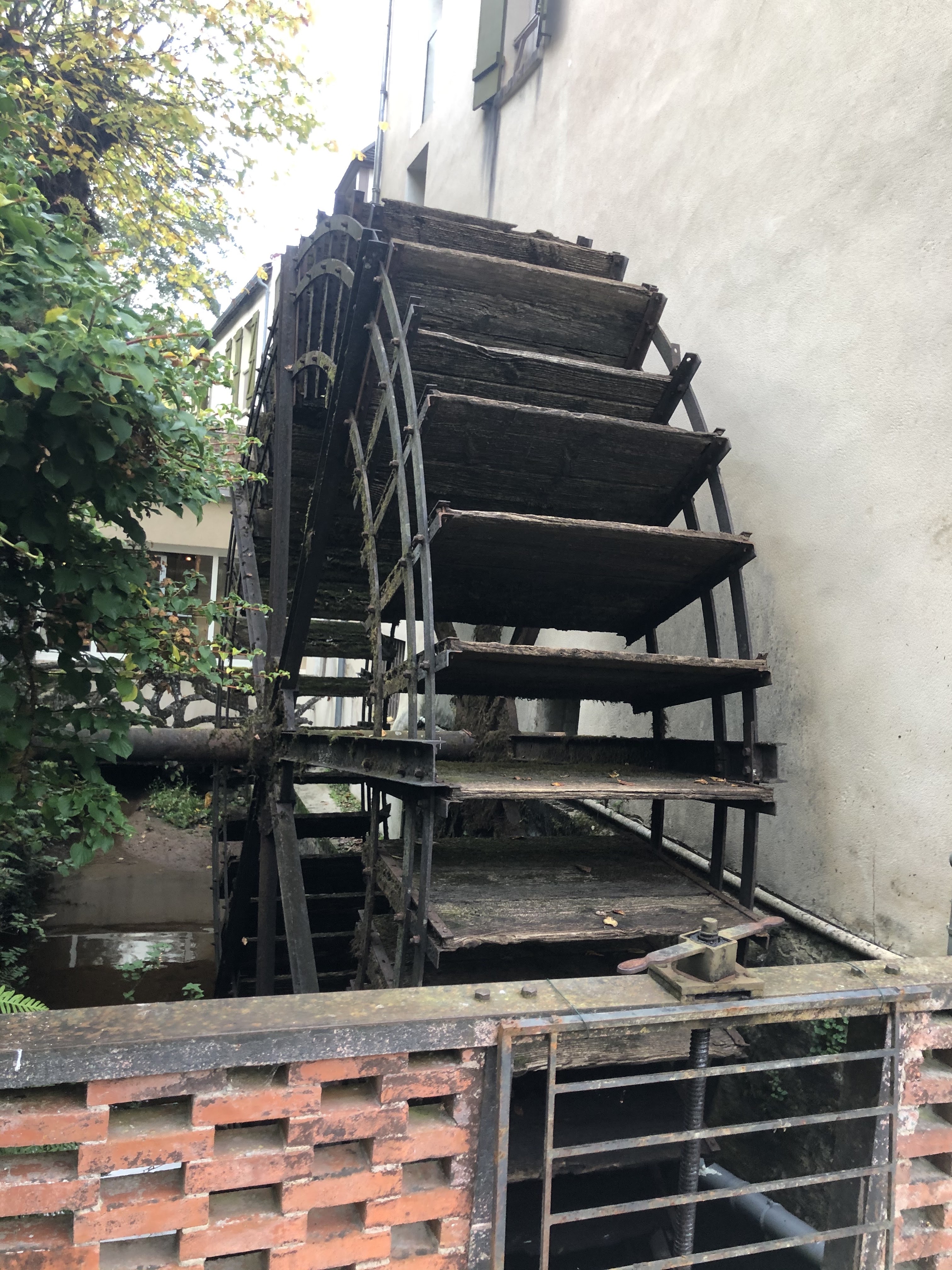 Photo n° 2 de l'avis de RENARD.A fait le 16/10/2021 à 18:23