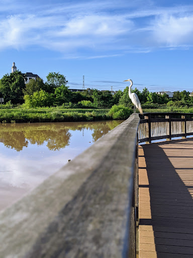 Park «Arrowbrook Park», reviews and photos, Field Point Rd, Herndon, VA 20171, USA