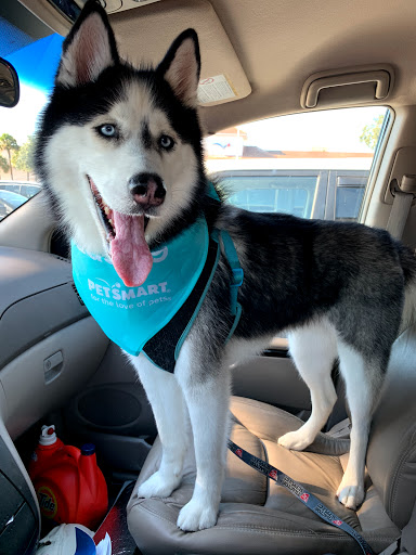 Pet Supply Store «PetSmart», reviews and photos, 3736 SW Archer Rd, Gainesville, FL 32608, USA