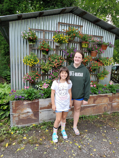 Gift Shop «The Wrinkled Egg», reviews and photos, 2710 NC-225, Flat Rock, NC 28731, USA