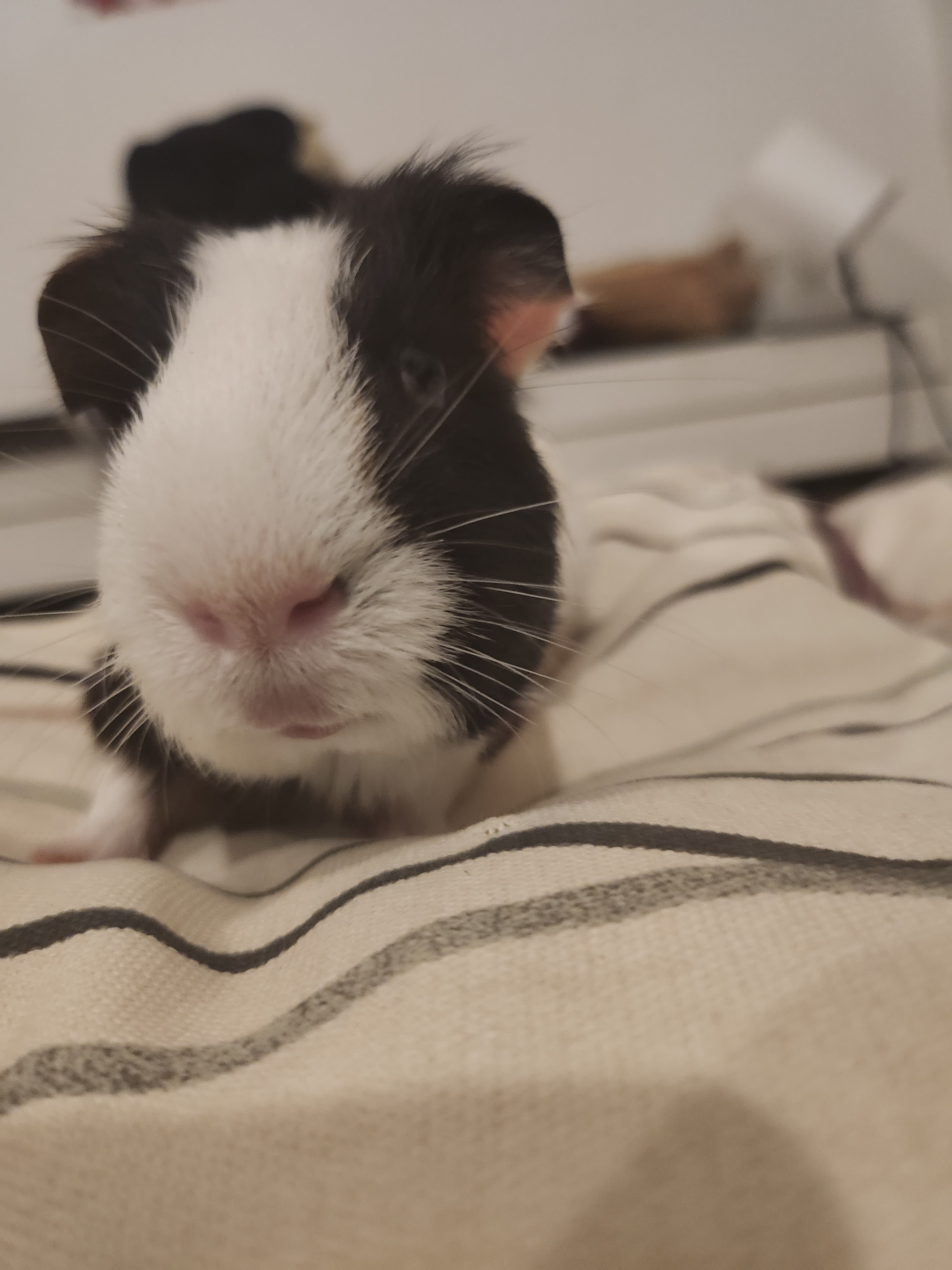 Photo n° 4 de l'avis de Perrine.a fait le 09/11/2023 à 02:32