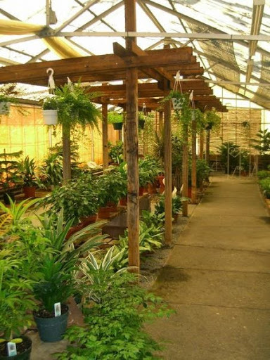 Florist «Grohe Florists», reviews and photos, 1313 McDonald Ave, Santa Rosa, CA 95404, USA