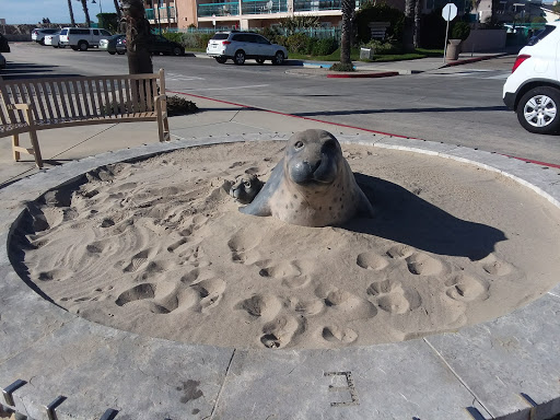 Harbor Seal Statue