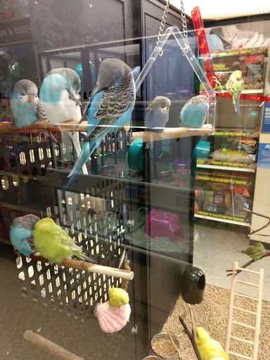 Pet Supply Store «PetSmart», reviews and photos, 1801 Howell Mill Rd NW, Atlanta, GA 30318, USA