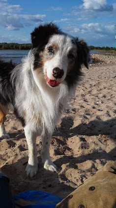 Photo Ferienwohnung Ferienwohnung Freikamp 46562 Voerde