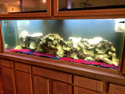 Tropical Fish Store «Hooked On Reefs», reviews and photos, 228 Hibiscus St #1, Jupiter, FL 33458, USA