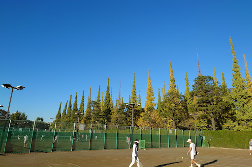 Jinguu Tennis Club