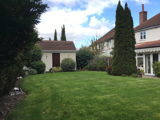 Moss and Green garden design