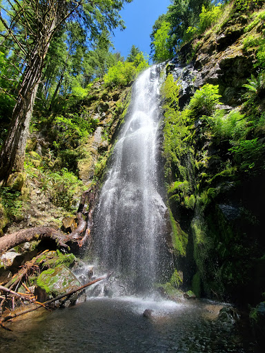 Hidden Falls