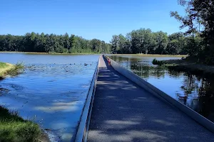 Cycling through water - Bokrijk image