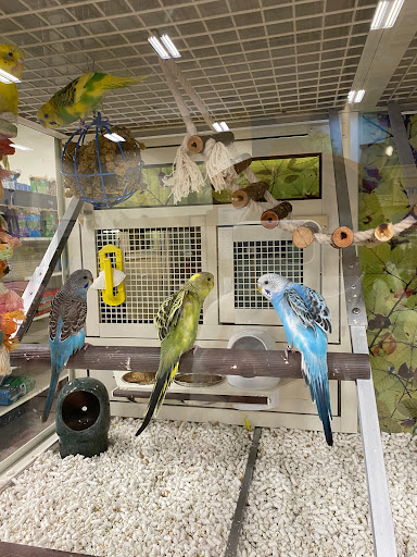 Pet Supply Store «PetSmart», reviews and photos, 200 S Village Center Dr, Southlake, TX 76092, USA