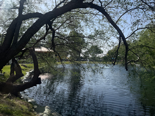 Indoor Lodging «La Mariposa Resort», reviews and photos, 1501 N Houghton Rd, Tucson, AZ 85749, USA