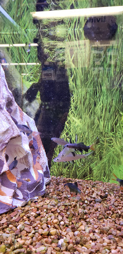 Pet Supply Store «PetSmart», reviews and photos, 310 NJ-36, West Long Branch, NJ 07764, USA