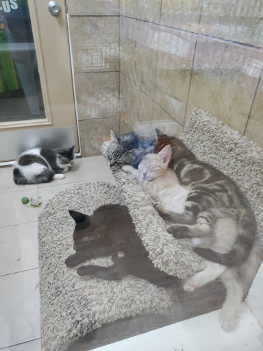 Pet Store «Pets Plus», reviews and photos, 151 Lincoln Hwy, Fairless Hills, PA 19030, USA
