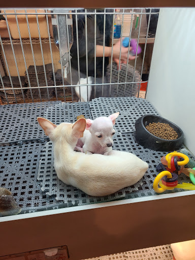 Pet Store «Pets Plus Inc», reviews and photos, 2610 Jefferson Davis Hwy, Stafford, VA 22554, USA