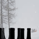 Photo n°1 de l'avis de Gianluca.e fait le 25/02/2018 à 13:53 sur le  I Birichini à Bardonecchia