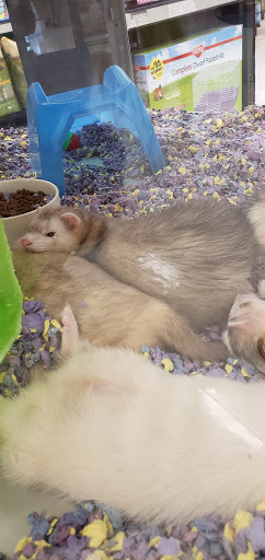 Pet Supply Store «Petco Animal Supplies», reviews and photos, 32074 Gratiot Ave, Roseville, MI 48066, USA