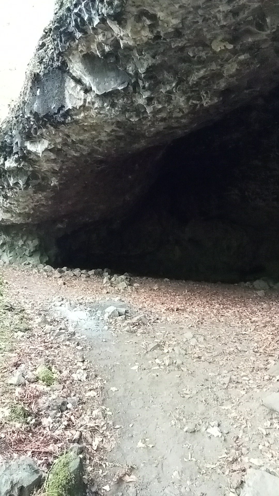 Photo n° 3 de l'avis de celine. fait le 18/08/2022 à 14:57