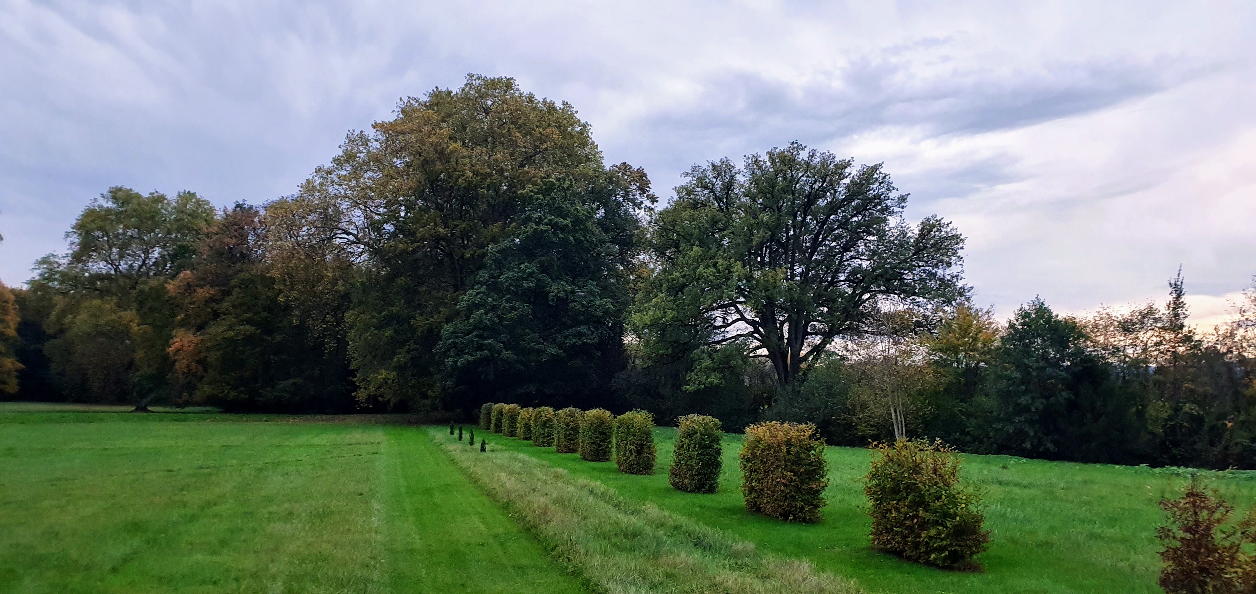 Photo n° 4 de l'avis de pierre.e fait le 04/11/2019 à 09:59