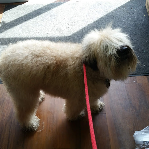 Pet Store «Pet Valu», reviews and photos, 2290 Central Park Ave, Yonkers, NY 10701, USA