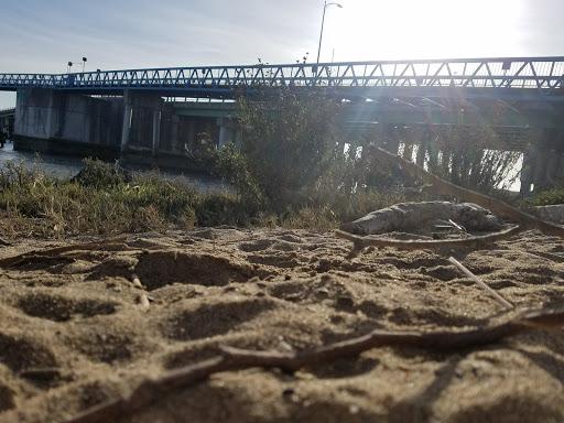 Gym «Harbor Bay Club», reviews and photos, 200 Packet Landing Rd, Alameda, CA 94502, USA