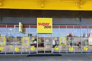 Super zoo image