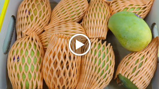 Indian Grocery Store «EZ Indian Grocery Store», reviews and photos, 12 Walnut St, Woburn, MA 01801, USA