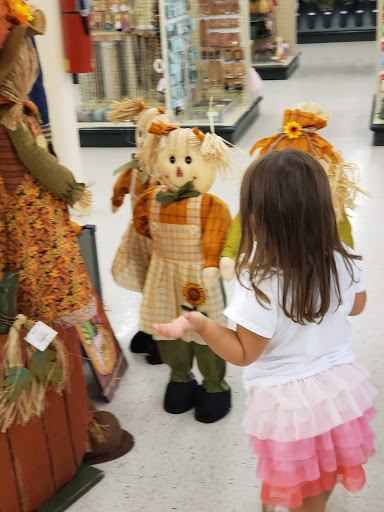 Craft Store «Hobby Lobby», reviews and photos, 6295 S Westnedge Ave, Portage, MI 49002, USA