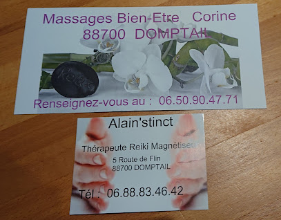 Massages Bien-Etre Corine &. Alain'stinct Domptail