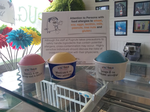 Ice Cream Shop «Pugnuts Ice Cream Shop», reviews and photos, 1276 ME-172, Surry, ME 04684, USA