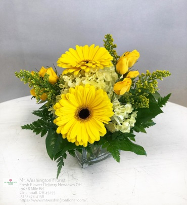 Florist «Mt. Washington Florist», reviews and photos, 1967 8 Mile Rd, Cincinnati, OH 45255, USA