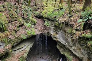 Mammoth Cave National Park image