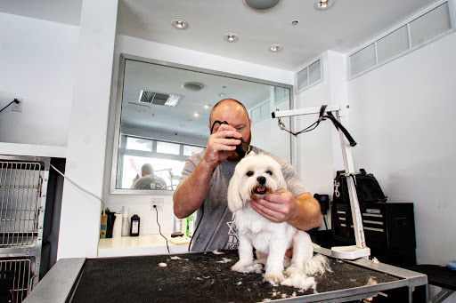 Pet Supply Store «Dog Bar», reviews and photos, 1684 Jefferson Ave, Miami Beach, FL 33139, USA