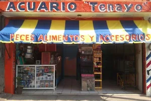 Acuario "Tenayo" image