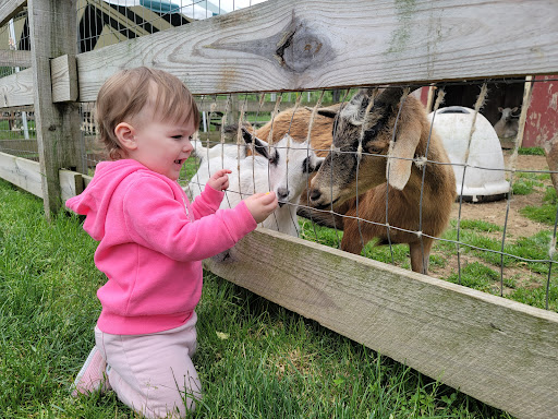 Farm «Sun High Orchards», reviews and photos, 19 Canfield Ave, Randolph, NJ 07869, USA