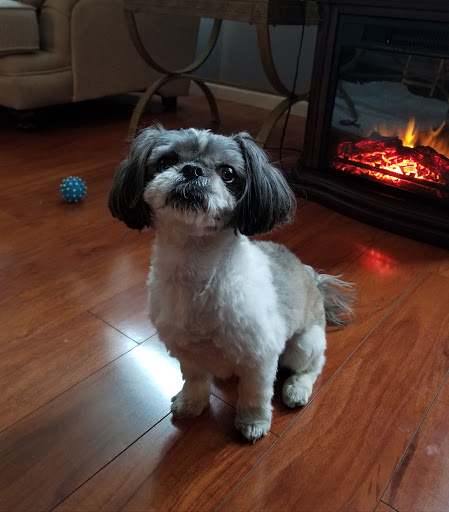 Pet Store «Pet Valu», reviews and photos, 307 Bayonne Crossing Way, Bayonne, NJ 07002, USA