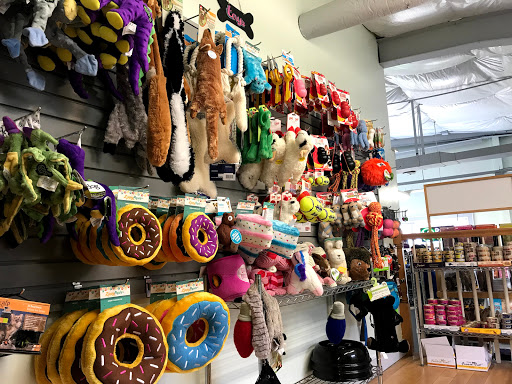 Dog Day Care Center «Play Dog Play Canine Care Center», reviews and photos, 668 Pine St, Burlington, VT 05401, USA