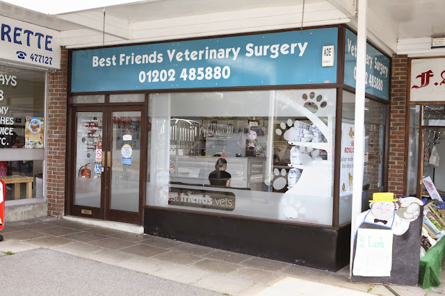 Medivet Christchurch - Best Friends Veterinary Surgery