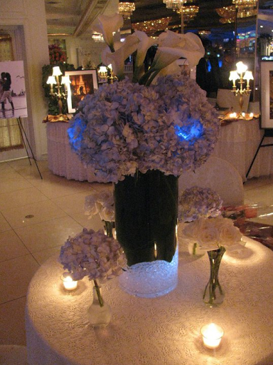 Plant Nursery «A & S Whitestone Nursery», reviews and photos, 2302 Francis Lewis Blvd, Whitestone, NY 11357, USA