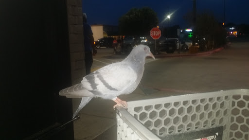 Grocery Store «Kroger», reviews and photos, 514 S Carrier Pkwy, Grand Prairie, TX 75051, USA