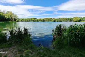Malomvölgy Lake image