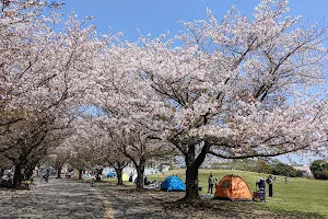 Samukawa Central Park image