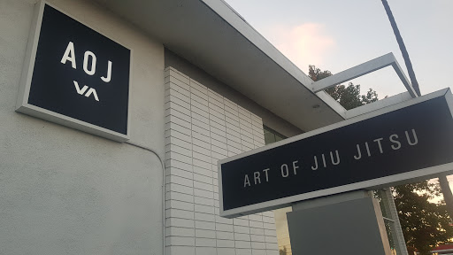 Art of Jiu Jitsu Academy image