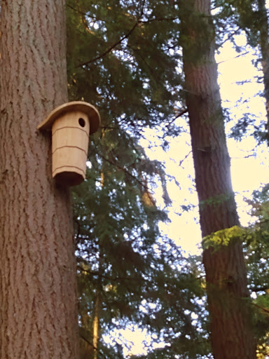 Water Park «Rotary Centennial Water Playground», reviews and photos, 802 E Mukilteo Blvd, Everett, WA 98203, USA