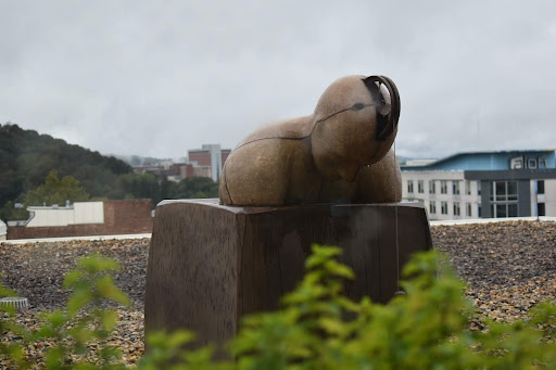 Art Museum «Asheville Art Museum - Pop Up (2 S. Pack Sq. under construction)», reviews and photos, 175 Biltmore Ave, Asheville, NC 28801, USA